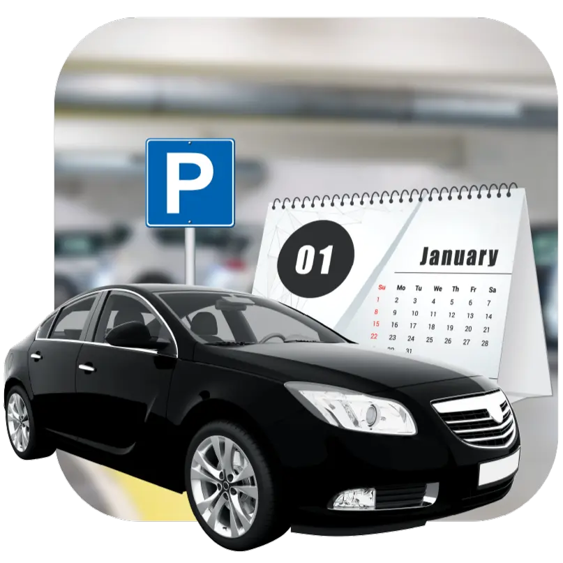 Monthly Parking Visual